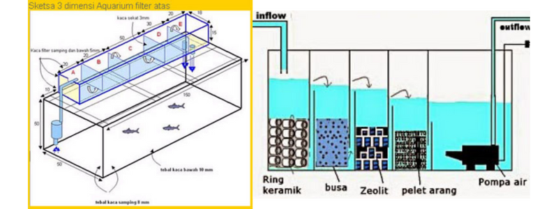 hệ thống lọc nước bể hồ hải sản