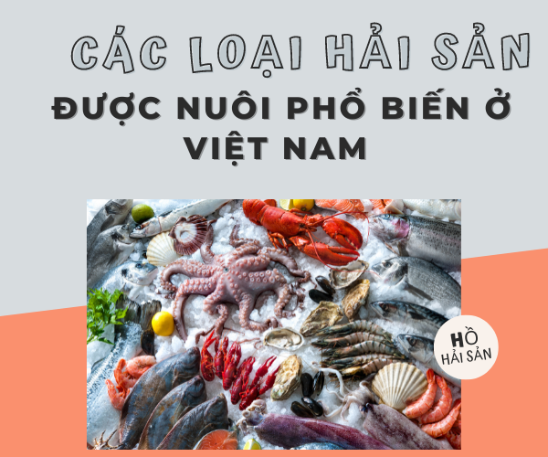 Những hải sản được nuôi phổ biến nhất ở Việt Nam hiện nay