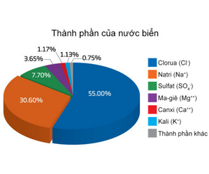 Cách giữ độ mặn nước thích hợp cho hải sản