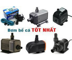 Máy bơm hồ cá hải sản