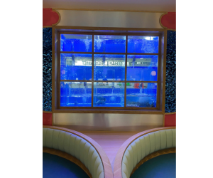 THI CÔNG HỒ HẢI SẢN NHÀ HÀNG GOLDEN GATE TẠI TP HCM 